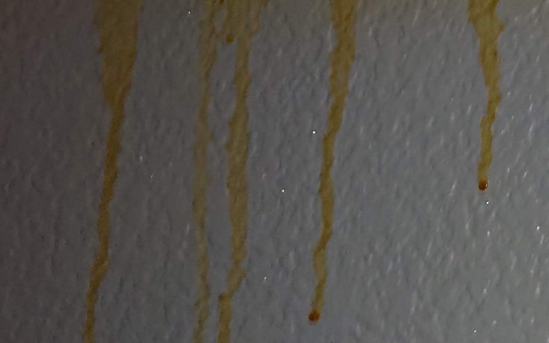 How Long Does Odor Removal Take?