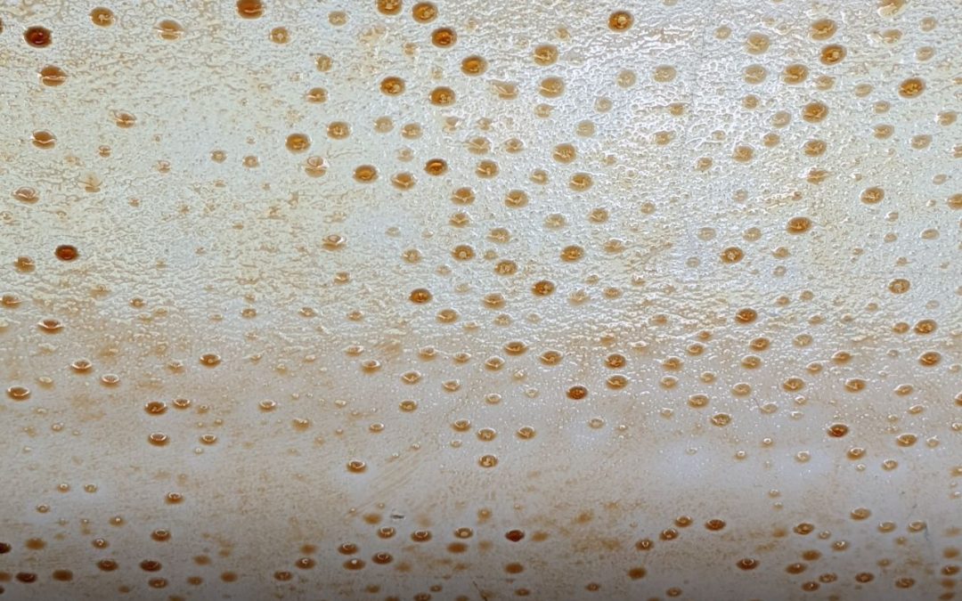 Professional Odor Removal vs. Ozone & Carpet Cleaning