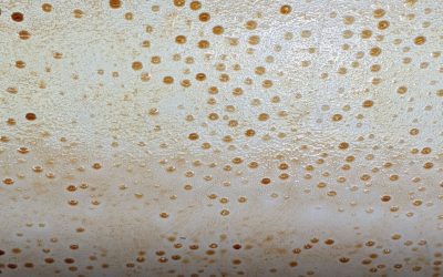 Professional odor removal vs ozone chlorine dioxide and carpet cleaning