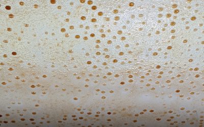 Ozone vs. Professional Odor Neutralization | Odor Removal
