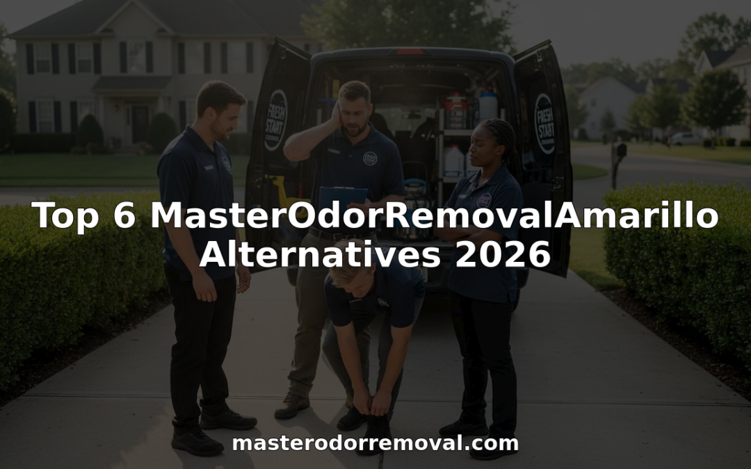 Top 6 MasterOdorRemovalAmarillo Alternatives 2026