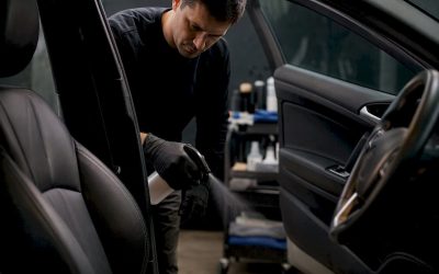 Skunk Smell in Your Car? Here’s How to Get Rid of It