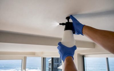 Green Certified Business | Professional Odor Removal