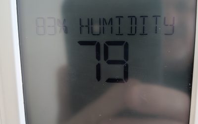 Florida Home Humidity: The 60% Warning You Should Know