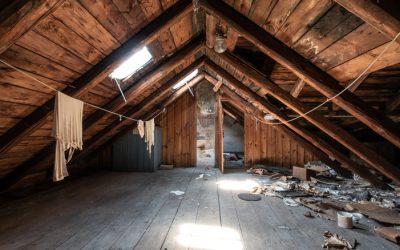 Mystery Odor Case File: Boca Raton | Mothballs in the Attic