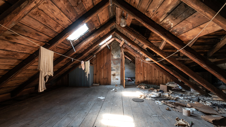Mystery Odor Case File: Boca Raton | Mothballs in the Attic