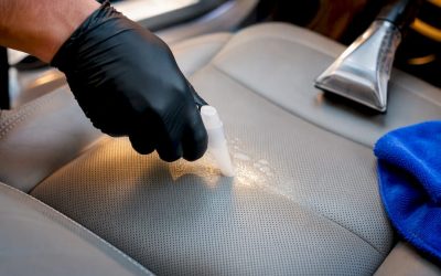 Enzymes First: Emergency Fix and Green Pro Options for Car Vomit Smell