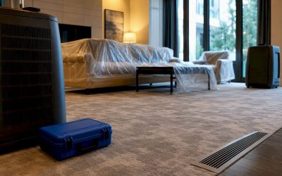 12–24 Hour Rule: Ozone or Hydroxyl for Property Owners