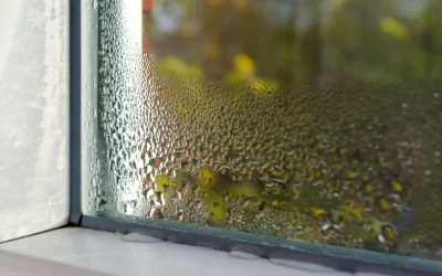 Why Your Florida House Smells Worse After a Humid Day