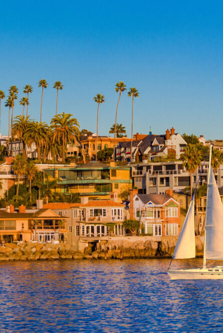 Newport Beach Odor Removal | Pet, Marijuana & Home Odors