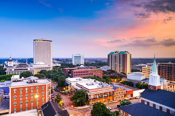 Professional Odor Removal Tallahassee, FL | Homes & Autos