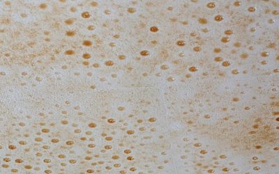Cigarette Smoke Odor Removal: See Our Process