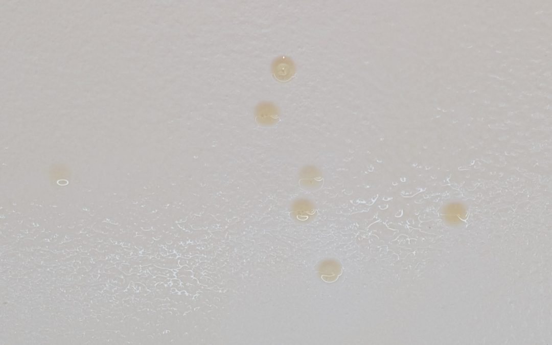 Professional cigarette smoke odor removal without ozone in a luxury home
